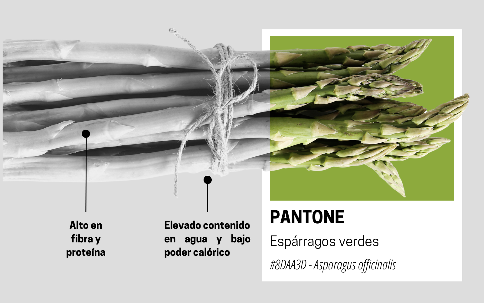 Estas son las propiedades que tiene el espárrago verde